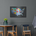 Massive Usa License Plate Map by Design Turnpike (12"H x 16"W x 0.13"D)