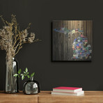 Michigan Counties License Plate by Design Turnpike (12"H x 12"W x 0.13"D)