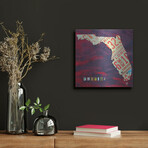 Florida License Plate by Design Turnpike (12"H x 12"W x 0.13"D)