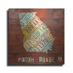 Georgia Map by Design Turnpike (12"H x 12"W x 0.13"D)