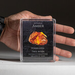 Genuine Amber in Acrylic Display Box
