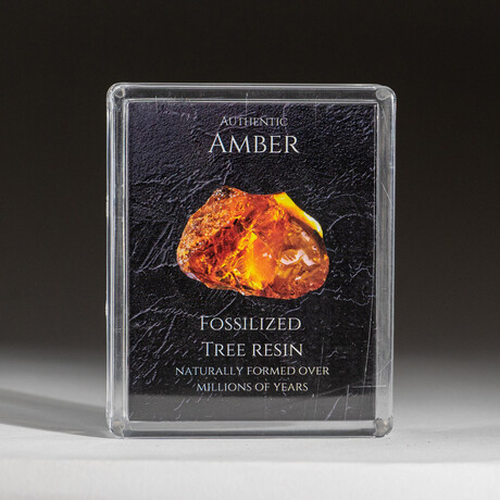 Genuine Amber in Acrylic Display Box