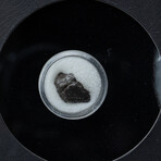 Sikhote-Alin Meteorite In Display Box