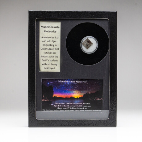 Muonionalusta Meteorite In Display Box V1