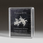 Fulgurite Lightning Fused Sand in Acrylic Display Box