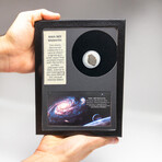 NWA 869 Meteorite In Display Box