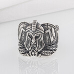 Silver Ring with Helmet and Shield (8)