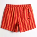 5.5" Swim Trunks // Colored Stripes (XL)