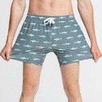 5" Swim Trunks // 4 Way Stretch // Gray Shark (M)