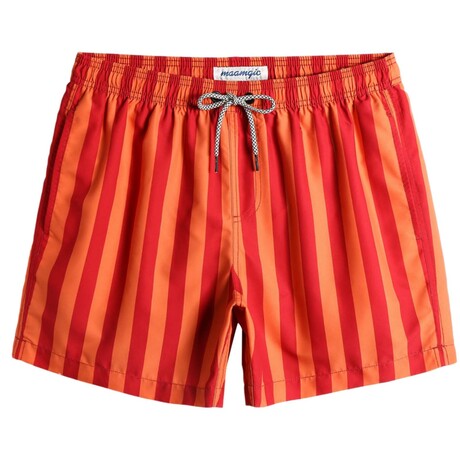 5.5" Swim Trunks // Colored Stripes (XL)