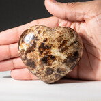 Genuine Polished Brown Petrified Wood Heart + Acrylic Stand II