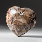 Genuine Polished Brown Petrified Wood Heart + Acrylic Stand I