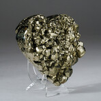 Genuine Pyrite Clustered Heart + Acrylic Stand II