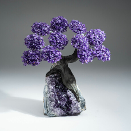 Amethyst Gemstone Tree on Amethyst Matrix // The Protection Tree // 4.9 lb