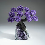 Amethyst Gemstone Tree on Amethyst Matrix // The Protection Tree // 4.9 lb