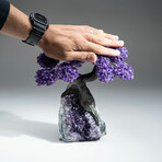 Amethyst Gemstone Tree on Amethyst Matrix // The Protection Tree // 4.9 lb