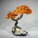 Giant Citrine Gemstone Tree on Citrine Matrix // The Calming Tree // 13.8 lb