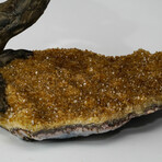 Citrine Gemstone Tree on Citrine Matrix // The Calming Tree // 10 lb