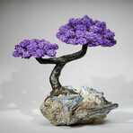 Giant Amethyst Gemstone Tree on Blue Kyanite Matrix // 36.2 lb