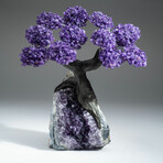 Amethyst Gemstone Tree on Amethyst Matrix // The Protection Tree // 4.9 lb