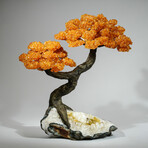 Giant Citrine Gemstone Tree on Citrine Matrix // The Calming Tree // 13.8 lb