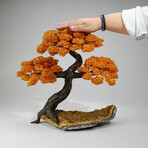 Citrine Gemstone Tree on Citrine Matrix // The Calming Tree // 10 lb