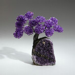 Amethyst Gemstone Tree on Amethyst Matrix // The Protection Tree // 3.8 lb