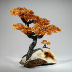 Giant Citrine Gemstone Trees on Citrine Matrix // The Calming Tree // 20 lb