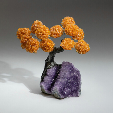 Citrine Gemstone Tree on Amethyst Matrix II // The Money Tree // 3.8 lb