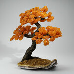 Citrine Gemstone Tree on Citrine Matrix // The Calming Tree // 10 lb