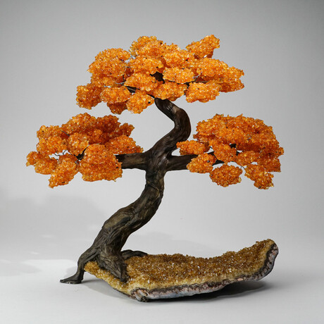 Citrine Gemstone Tree on Citrine Matrix // The Calming Tree // 10 lb