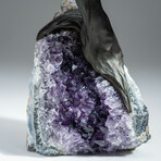 Amethyst Gemstone Tree on Amethyst Matrix // The Protection Tree // 4.9 lb