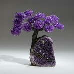 Amethyst Gemstone Tree on Amethyst Matrix // The Protection Tree // 3.8 lb