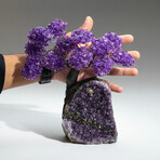 Amethyst Gemstone Tree on Amethyst Matrix // The Protection Tree // 3.8 lb