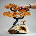 Giant Citrine Gemstone Trees on Citrine Matrix // The Calming Tree // 20 lb