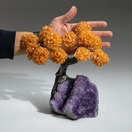 Citrine Gemstone Tree on Amethyst Matrix II // The Money Tree // 3.8 lb