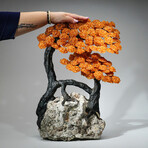 Giant Citrine Gemstone Tree on Pyrite + Quartz Matrix // 33.8 lb