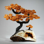 Giant Citrine Gemstone Trees on Citrine Matrix // The Calming Tree // 20 lb