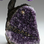 Amethyst Gemstone Tree on Amethyst Matrix // The Protection Tree // 3.8 lb