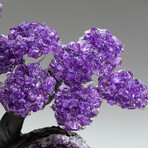 Amethyst Gemstone Tree on Amethyst Matrix // The Protection Tree // 3.8 lb