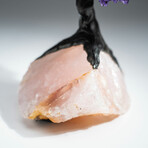 Amethyst Gemstone Tree on Rose Quartz II // The Positivity Tree // 5.9 lb