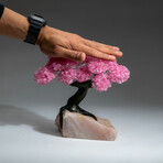 Rose Quartz Gemstone Tree on Rose Quartz // The Eternal Love Tree // 4.1 lb