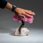 Rose Quartz Gemstone Tree on Rose Quartz VI // The Eternal Love Tree // 4.2 lb