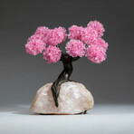 Rose Quartz Gemstone Tree on Rose Quartz VI // The Eternal Love Tree // 4.2 lb