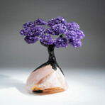 Amethyst Gemstone Tree on Rose Quartz II // The Positivity Tree // 5.9 lb