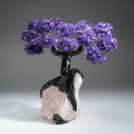 Amethyst Gemstone Tree on Rose Quartz I // The Positivity Tree // 5.6 lb