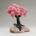 Rose Quartz Gemstone Tree on Rose Quartz IV // The Eternal Love Tree // 5.8 lb