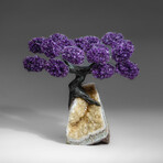 Amethyst Gemstone Tree on Citrine Matrix I // The Empowerment Tree // 6.2 lb