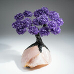 Amethyst Gemstone Tree on Rose Quartz II // The Positivity Tree // 5.9 lb