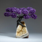 Amethyst Gemstone Tree on Citrine Matrix I // The Empowerment Tree // 6.2 lb